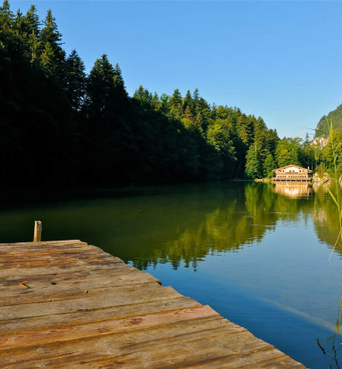 berglsteinersee-sommer.jpg