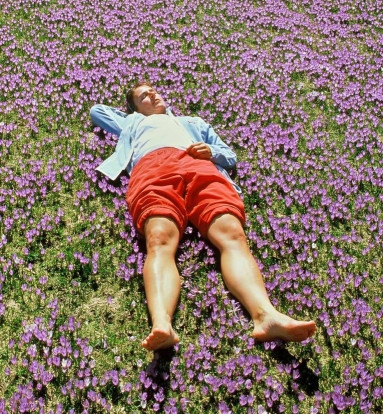 blumenwiese.jpg